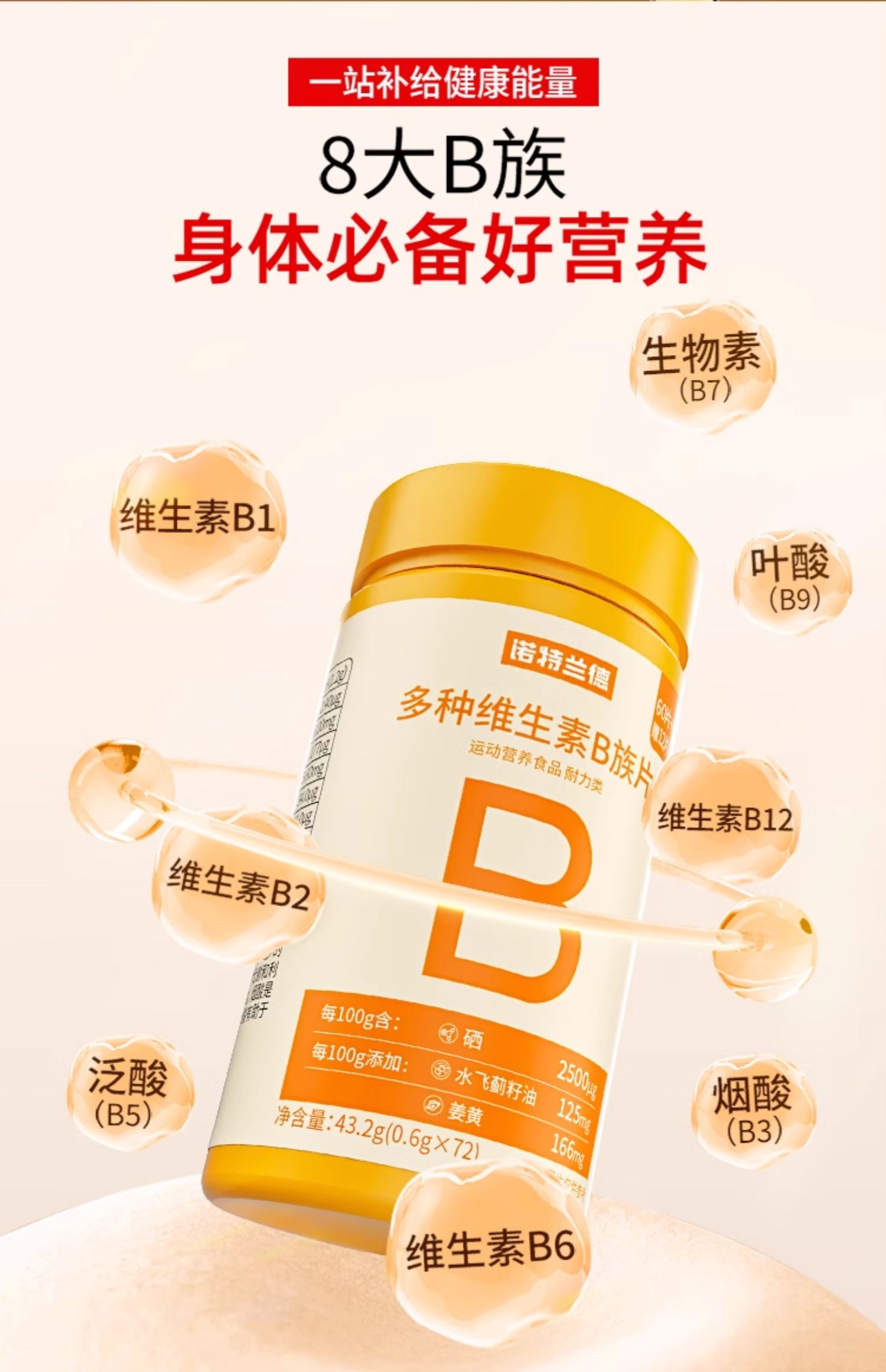 诺特兰德 多种维生素B族片（升级款）0.6克*72片/瓶