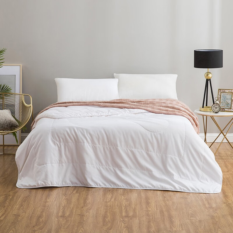 罗莱团购 罗莱 甄享蚕丝抗菌春秋被FX-ZX200H