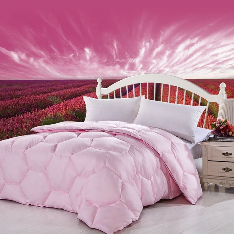 安巢家居 羽丝绒被子家纺保暖空调被子冬天秋冬被褥双人盖被冬被被芯空调被 羽丝绒被AW10702 3500g