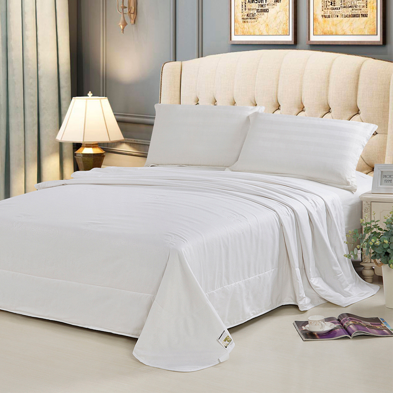 安巢家居（ANCHOW）家居 蚕丝被双人夏凉空调被 春秋被薄被子被芯 200_230cm 蚕丝被AW10805