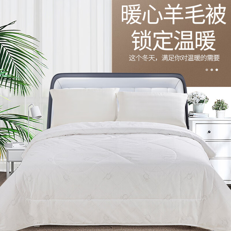 安巢家居（ANCHOW）羊毛被子冬被加厚被 进口羊毛被芯冬季 单双人棉被抗菌 暖芯羊毛被AW10703