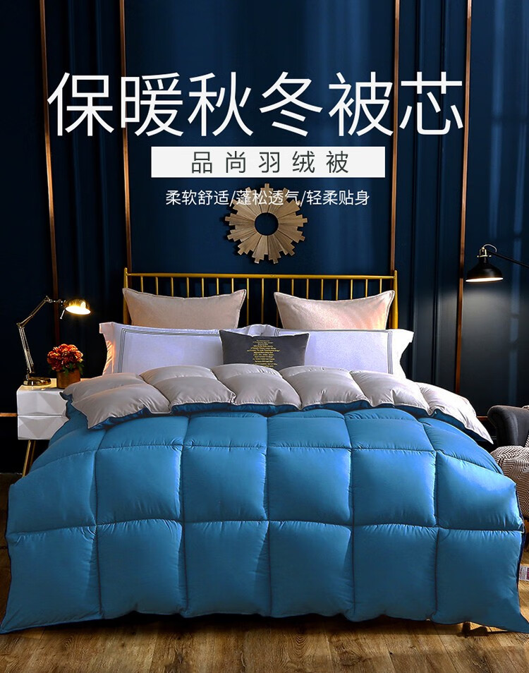 悠梦嘉居 品尚羽丝绒被 轻柔透气羽丝绒 保暖透气秋冬芯200*230cm