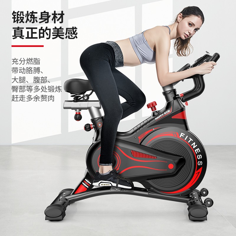勒德威 K830 动感单车健身自行车运动单车家用健身器材 豪华版K830