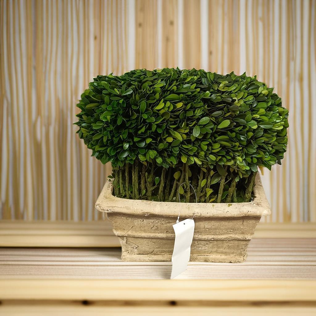 MARSDEN饰品/花园假花盆栽实体摆件/泥罐底座