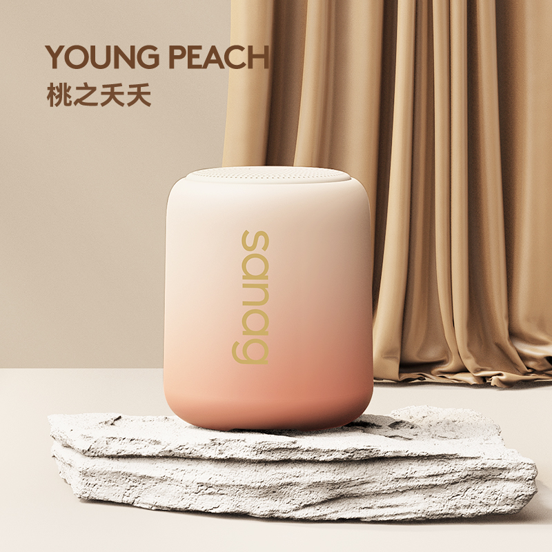 SANAG蓝牙音箱迷你小音响便携插卡重低音炮户外车载播放电脑音箱高颜值高音质音响