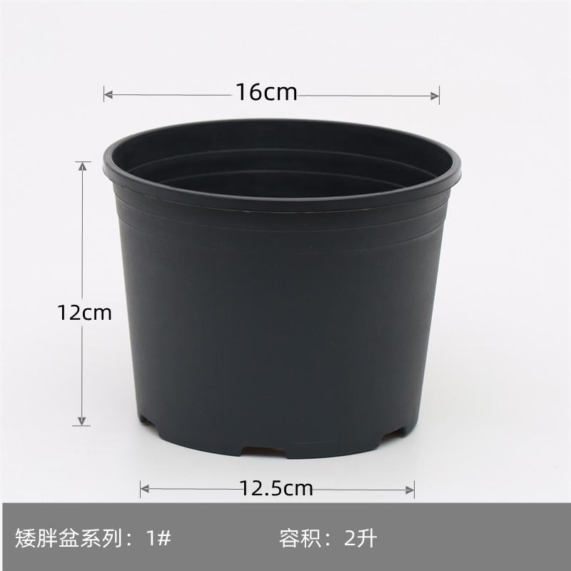 源头工厂圆形矮胖盆塑料花盆苗圃园林注塑外贸加仑盆