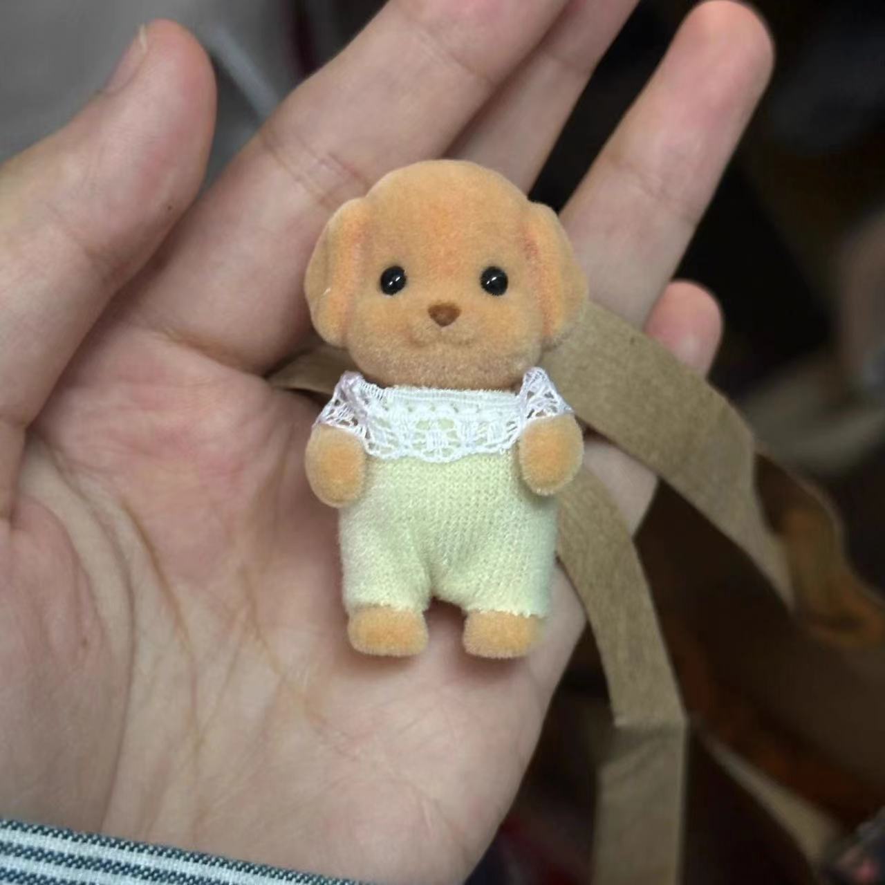 The same Senbel poodle doll high appearance level doll doll set for the girl's girlfriends gift