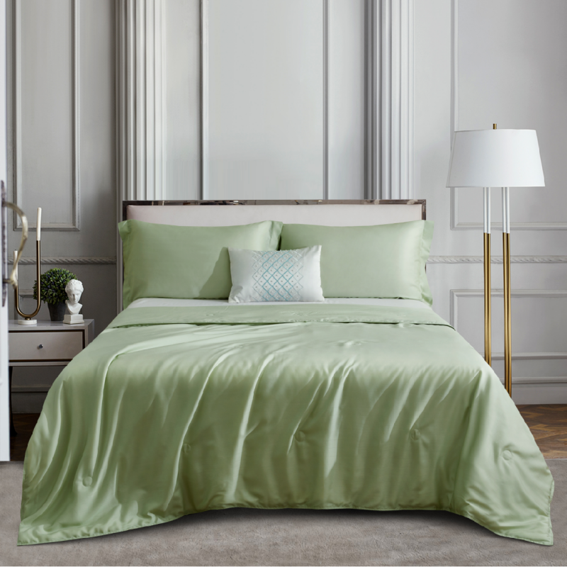 芯雅天丝蚕丝被夏季空调被YL-Z3008