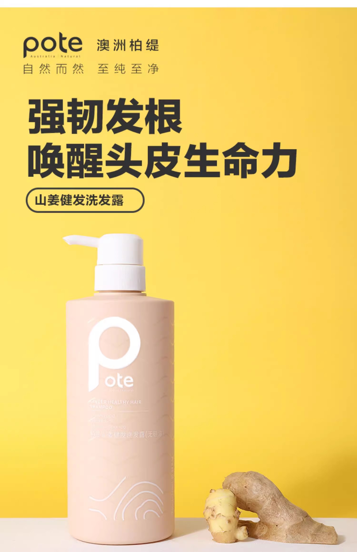 Pote柏缇 山姜健发洗发露（无硅油） 650ml/瓶