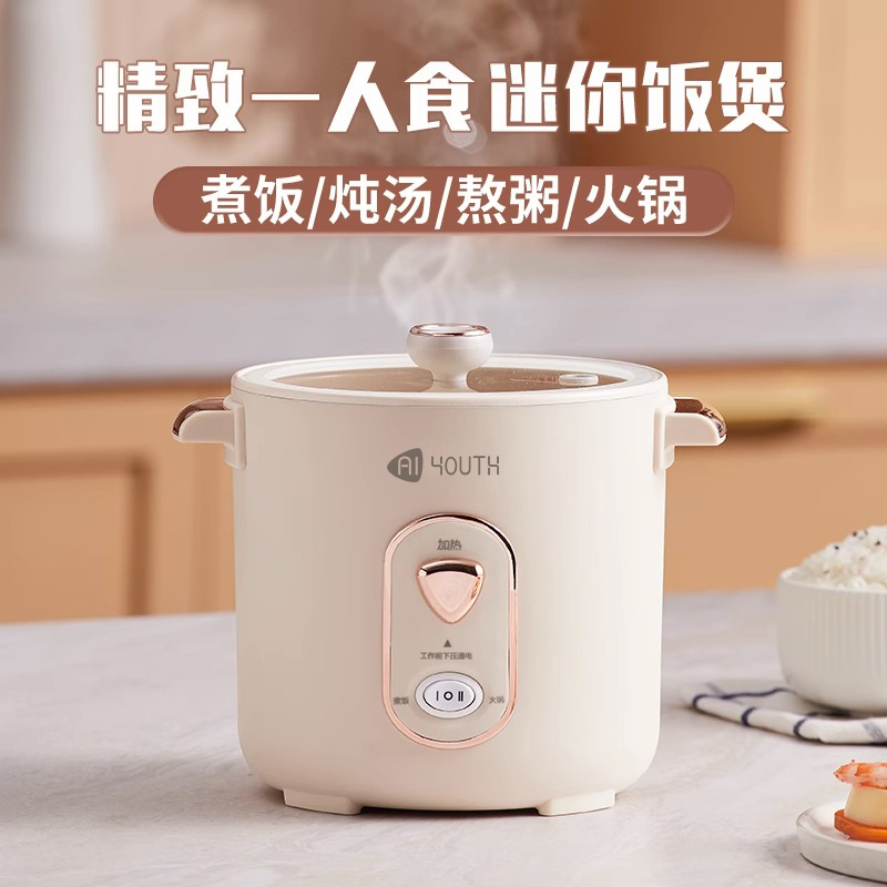艾青春 迷你电饭锅WT-12J  白色