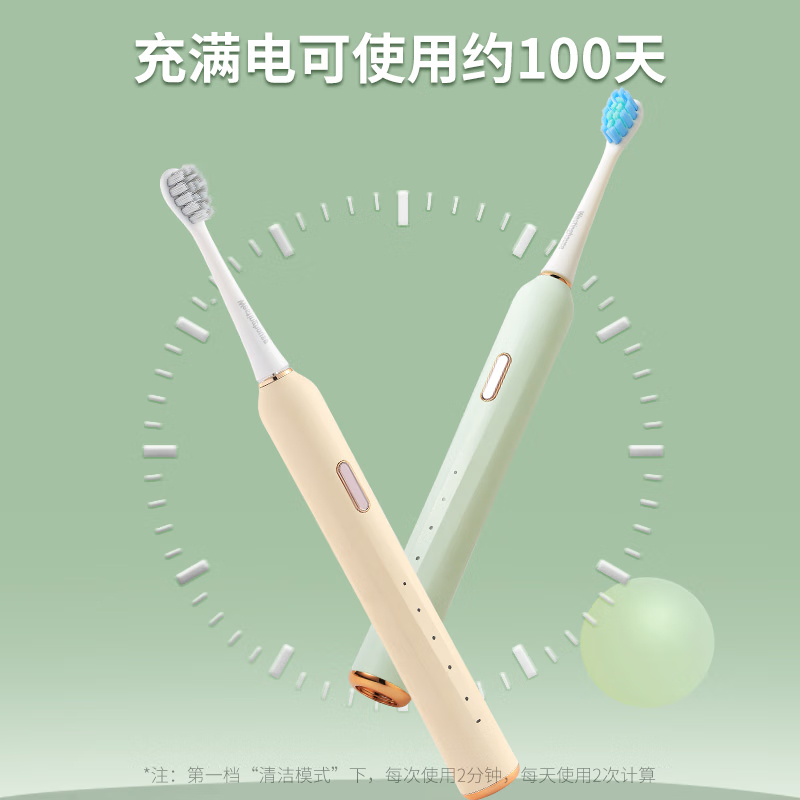 西屋（Westinghouse）成人声波电动牙刷WT-504Y